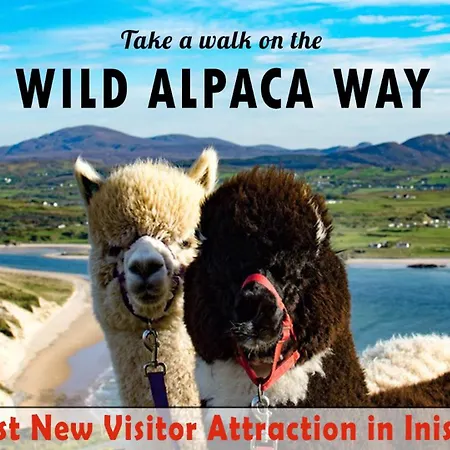 Lily's Town House Dom wakacyjny Buncrana