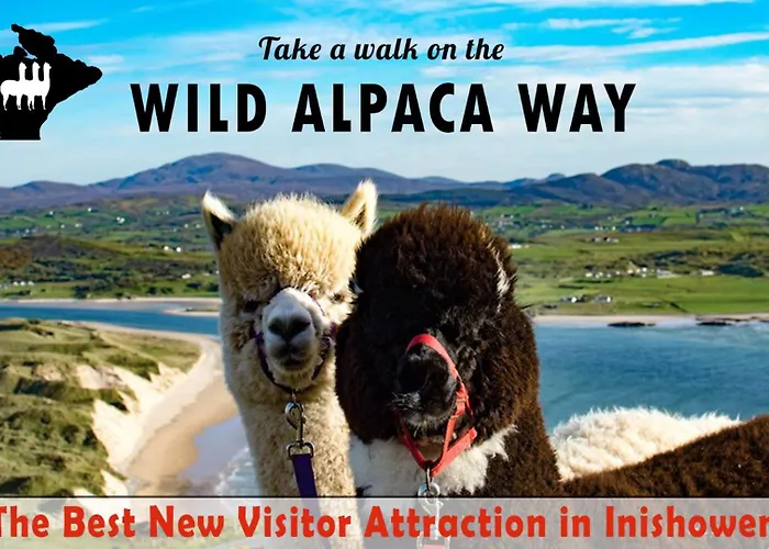 Lily's Town House Nyaraló Buncrana